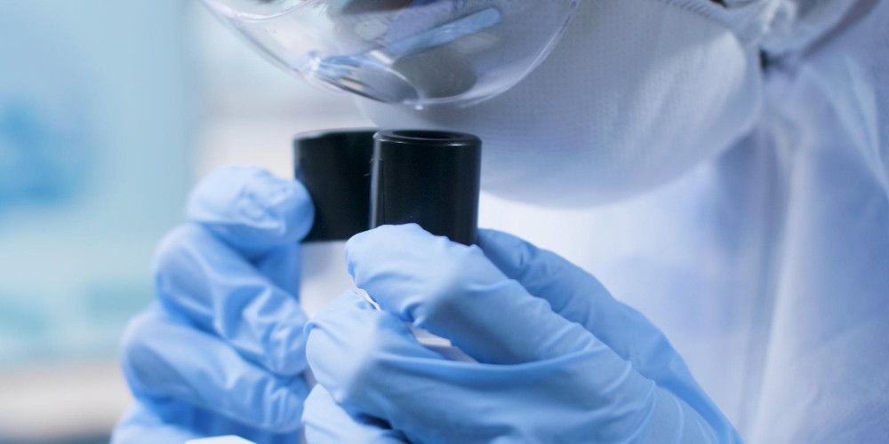 Curan la diabetes tipo 1 en ratones sin insulina ni inmunosupresión
